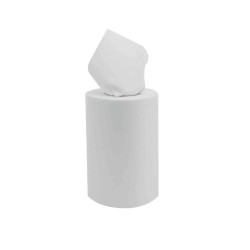 Essuie mains 20 x 34 - dévidage central mini 200F