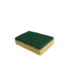 Eponges grattante verte