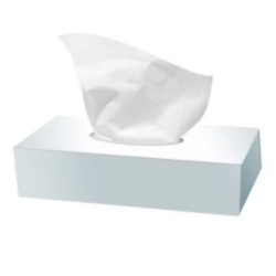 Mouchoirs papier Carton de 40 boites de 100