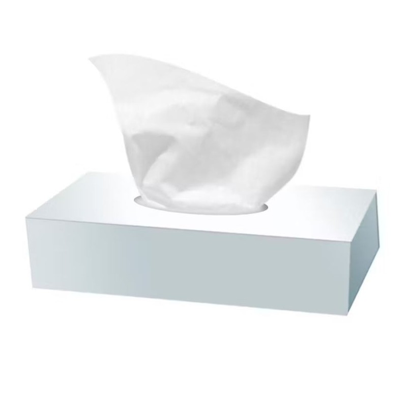 Mouchoirs papier Carton de 40 boites de 100