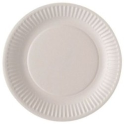 Assiette carton blanc 23cm Lot de 100