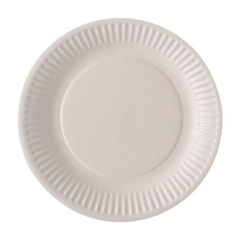 Assiette carton blanc 23cm Lot de 100