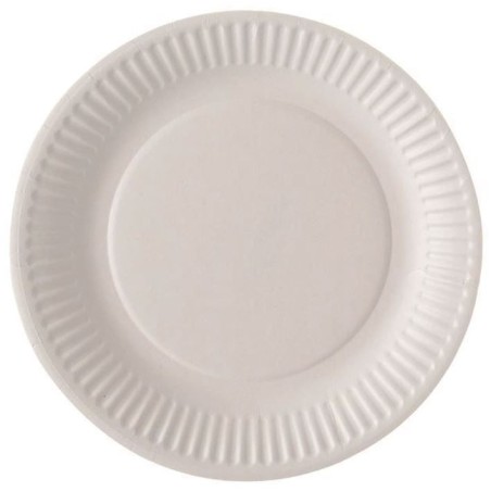 Assiette carton blanc 23cm Lot de 100