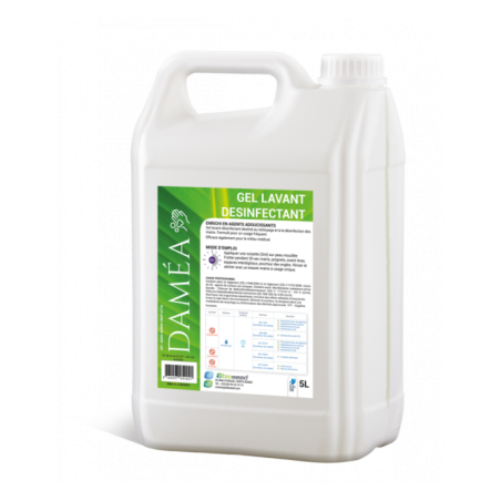 Gel lavage mains désinfectant 5L DAMEA