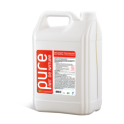 Décapant sols professionnel 5L PURE DSR