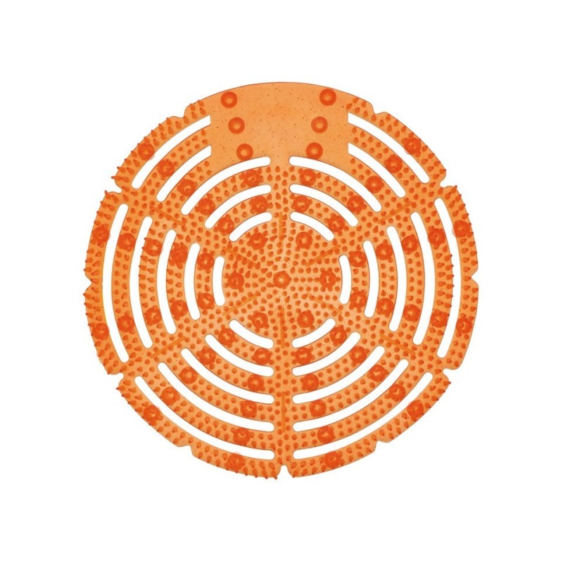 Grille urinoir professionnelle lot de 10